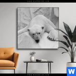 Wechselmotiv Der Eisbaer Quadrat Produktvorschau mit dem Bild Der Eisbär im Format Quadrat.