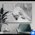 Wechselmotiv Der Eisbaer Querformat Produktvorschau mit dem Bild Der Eisbär im Format Querformat.