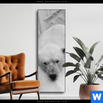 Wechselmotiv Der Eisbaer Schmal Produktvorschau mit dem Bild Der Eisbär im Format Schmal.