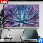 Wechselmotiv Dia Agavenblaetter Querformat Produktvorschau mit dem Bild Agavenblätter im Format Querformat.