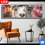 Wechselmotiv Dia Alpaka Mit Blumen Panorama Produktvorschau mit dem Bild Alpaka mit Blumen im Format Panorama.