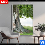 Wechselmotiv Dia Alte Linde Auf Sommerwiese Hochformat Produktvorschau mit dem Bild Alte Linde auf Sommerwiese im Format Hochformat.