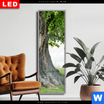 Wechselmotiv Dia Alte Linde Auf Sommerwiese Schmal Produktvorschau mit dem Bild Alte Linde auf Sommerwiese im Format Schmal.