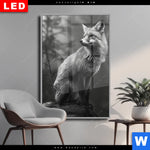Wechselmotiv Dia Anmutiger Fuchs Hochformat Produktvorschau mit dem Bild Anmutiger Fuchs im Format Hochformat.