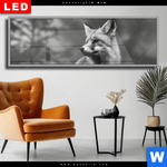 Wechselmotiv Dia Anmutiger Fuchs Panorama Produktvorschau mit dem Bild Anmutiger Fuchs im Format Panorama.