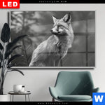 Wechselmotiv Dia Anmutiger Fuchs Querformat Produktvorschau mit dem Bild Anmutiger Fuchs im Format Querformat.