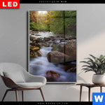 Wechselmotiv Dia Asiatischer Tropischer Dschungel Hochformat Produktvorschau mit dem Bild Asiatischer tropischer Dschungel im Format Hochformat.