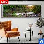 Wechselmotiv Dia Asiatischer Tropischer Dschungel Panorama Produktvorschau mit dem Bild Asiatischer tropischer Dschungel im Format Panorama.