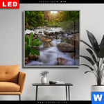 Wechselmotiv Dia Asiatischer Tropischer Dschungel Quadrat Produktvorschau mit dem Bild Asiatischer tropischer Dschungel im Format Quadrat.