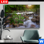 Wechselmotiv Dia Asiatischer Tropischer Dschungel Querformat Produktvorschau mit dem Bild Asiatischer tropischer Dschungel im Format Querformat.