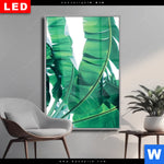 Wechselmotiv Dia Bananenpalme Hochformat Produktvorschau mit dem Bild Bananenpalme im Format Hochformat.