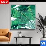 Wechselmotiv Dia Bananenpalme Quadrat Produktvorschau mit dem Bild Bananenpalme im Format Quadrat.