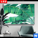 Wechselmotiv Dia Bananenpalme Querformat Produktvorschau mit dem Bild Bananenpalme im Format Querformat.