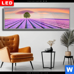 Wechselmotiv Dia Baum Im Blumenfeld Panorama Produktvorschau mit dem Bild Baum im Blumenfeld im Format Panorama.