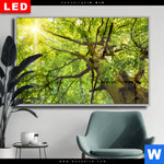 Wechselmotiv Dia Baumkrone Einer Buche Querformat Produktvorschau mit dem Bild Baumkrone einer Buche im Format Querformat.