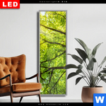 Wechselmotiv Dia Baumkrone Einer Buche Schmal Produktvorschau mit dem Bild Baumkrone einer Buche im Format Schmal.