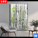 Wechselmotiv Dia Birkenwald Hochformat Produktvorschau mit dem Bild Birkenwald im Format Hochformat.