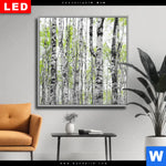 Wechselmotiv Dia Birkenwald Quadrat Produktvorschau mit dem Bild Birkenwald im Format Quadrat.