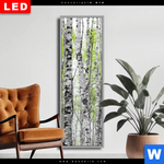 Wechselmotiv Dia Birkenwald Schmal Produktvorschau mit dem Bild Birkenwald im Format Schmal.