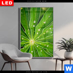 Wechselmotiv Dia Blatt Mit Wassertropfen Hochformat Produktvorschau mit dem Bild Blatt mit Wassertropfen im Format Hochformat.