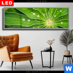 Wechselmotiv Dia Blatt Mit Wassertropfen Panorama Produktvorschau mit dem Bild Blatt mit Wassertropfen im Format Panorama.