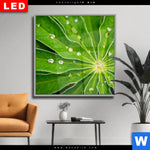 Wechselmotiv Dia Blatt Mit Wassertropfen Quadrat Produktvorschau mit dem Bild Blatt mit Wassertropfen im Format Quadrat.