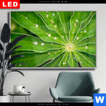 Wechselmotiv Dia Blatt Mit Wassertropfen Querformat Produktvorschau mit dem Bild Blatt mit Wassertropfen im Format Querformat.