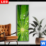 Wechselmotiv Dia Blatt Mit Wassertropfen Schmal Produktvorschau mit dem Bild Blatt mit Wassertropfen im Format Schmal.