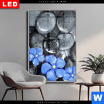 Wechselmotiv Dia Blaue Blume Graue Steine Hochformat Produktvorschau mit dem Bild Blaue Blume & Graue Steine im Format Hochformat.