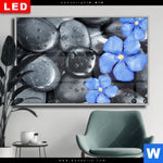 Wechselmotiv Dia Blaue Blume Graue Steine Querformat Produktvorschau mit dem Bild Blaue Blume & Graue Steine im Format Querformat.