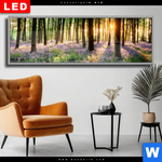 Wechselmotiv Dia Bluehender Wald Bei Sonnenaufgang Panorama Produktvorschau mit dem Bild Blühender Wald bei Sonnenaufgang im Format Panorama.