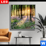 Wechselmotiv Dia Bluehender Wald Bei Sonnenaufgang Quadrat Produktvorschau mit dem Bild Blühender Wald bei Sonnenaufgang im Format Quadrat.