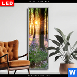 Wechselmotiv Dia Bluehender Wald Bei Sonnenaufgang Schmal Produktvorschau mit dem Bild Blühender Wald bei Sonnenaufgang im Format Schmal.