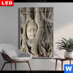 Wechselmotiv Dia Buddha In Baumwurzeln Hochformat Produktvorschau mit dem Bild Buddha in Baumwurzeln im Format Hochformat.