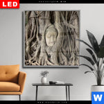 Wechselmotiv Dia Buddha In Baumwurzeln Quadrat Produktvorschau mit dem Bild Buddha in Baumwurzeln im Format Quadrat.