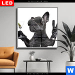 Wechselmotiv Dia Bulldogge Mit Martini Quadrat Produktvorschau mit dem Bild Bulldogge mit Martini im Format Quadrat.