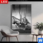 Wechselmotiv Dia Das Duell Hochformat Produktvorschau mit dem Bild Das Duell im Format Hochformat.