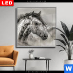 Wechselmotiv Dia Das Pferd Wild Schoen Quadrat Produktvorschau mit dem Bild Das Pferd - wild & schön im Format Quadrat.