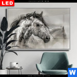 Wechselmotiv Dia Das Pferd Wild Schoen Querformat Produktvorschau mit dem Bild Das Pferd - wild & schön im Format Querformat.