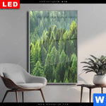 Wechselmotiv Dia Der Wald Hochformat Produktvorschau mit dem Bild Der Wald im Format Hochformat.