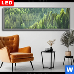 Wechselmotiv Dia Der Wald Panorama Produktvorschau mit dem Bild Der Wald im Format Panorama.