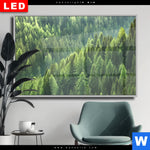 Wechselmotiv Dia Der Wald Querformat Produktvorschau mit dem Bild Der Wald im Format Querformat.