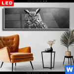 Wechselmotiv Dia Duestere Eleganz Der Eule Panorama Produktvorschau mit dem Bild Düstere Eleganz der Eule im Format Panorama.