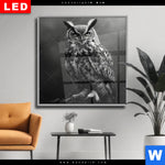 Wechselmotiv Dia Duestere Eleganz Der Eule Quadrat Produktvorschau mit dem Bild Düstere Eleganz der Eule im Format Quadrat.
