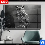Wechselmotiv Dia Duestere Eleganz Der Eule Querformat Produktvorschau mit dem Bild Düstere Eleganz der Eule im Format Querformat.
