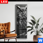 Wechselmotiv Dia Duestere Eleganz Der Eule Schmal Produktvorschau mit dem Bild Düstere Eleganz der Eule im Format Schmal.