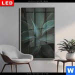 Wechselmotiv Dia Dunkles Agavenblatt Hochformat Produktvorschau mit dem Bild Dunkles Agavenblatt im Format Hochformat.