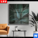 Wechselmotiv Dia Dunkles Agavenblatt Quadrat Produktvorschau mit dem Bild Dunkles Agavenblatt im Format Quadrat.