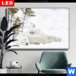 Wechselmotiv Dia Eisbaerenfamilie In Winterlicher Landschaft Querformat Produktvorschau mit dem Bild Eisbärenfamilie in winterlicher Landschaft im Format Querformat.