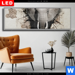 Wechselmotiv Dia Elefant Bricht Durch Mauer Panorama Produktvorschau mit dem Bild Elefant bricht durch Mauer im Format Panorama.